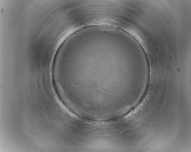 X0000088590949200705251145