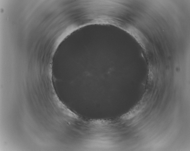 X0000088590950200705251145