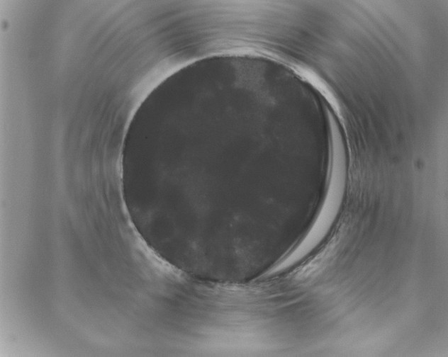 X0000088590951200705251145