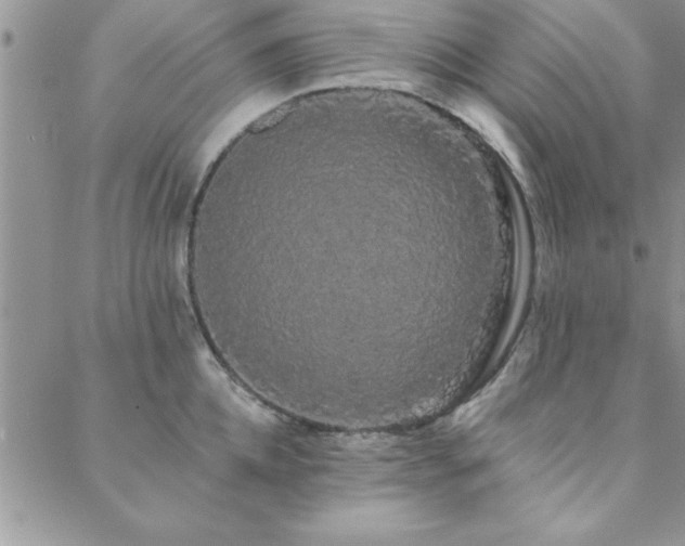 X0000088590952200705251145