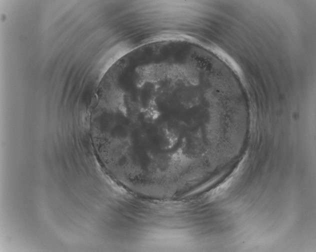 X0000088590953200705251145