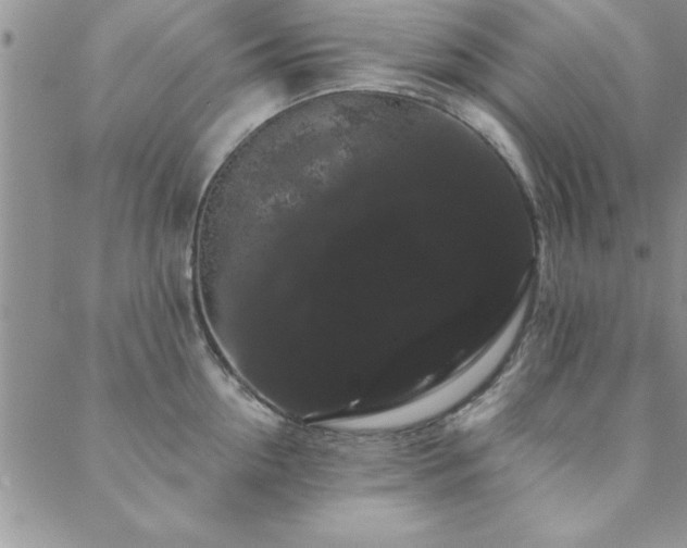 X0000088590954200705251145