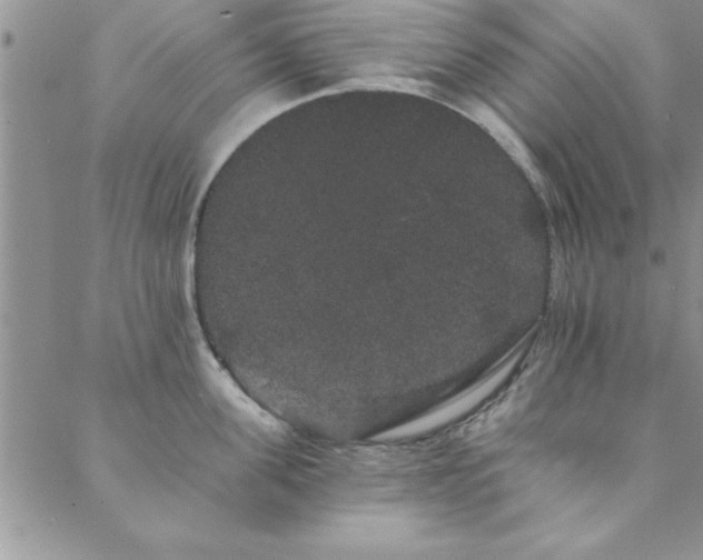 X0000088590955200705251146