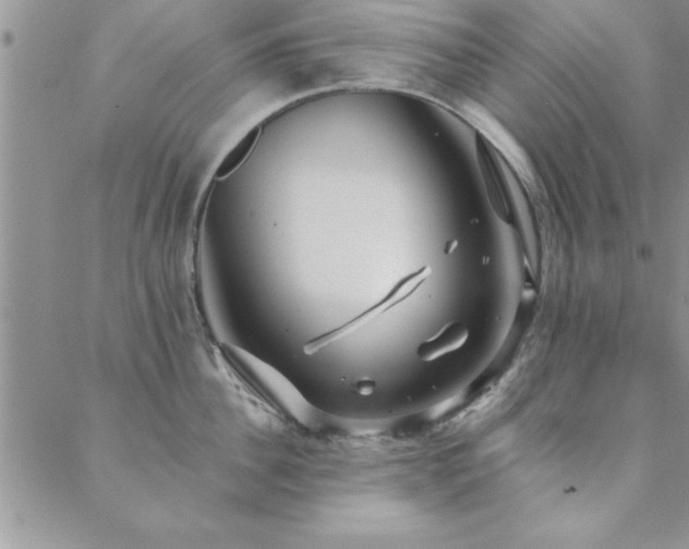 X0000088590956200705251146