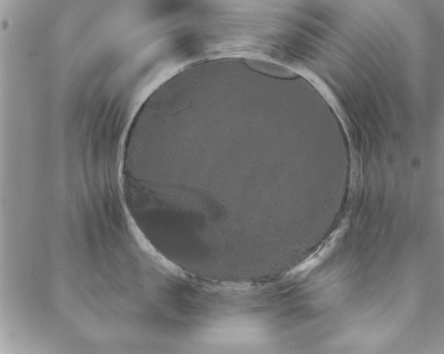 X0000088590957200705251146