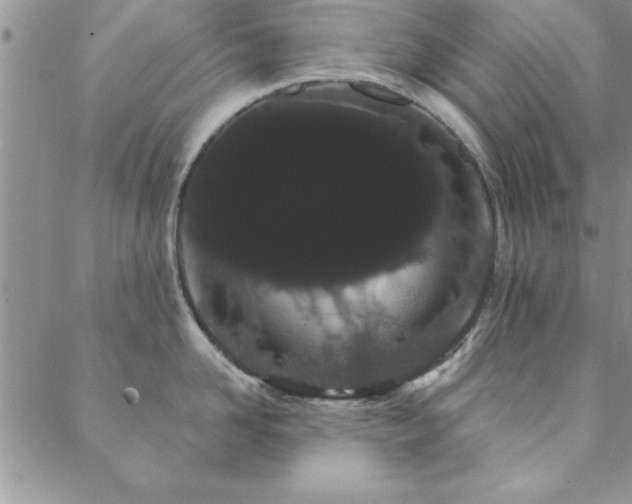 X0000088590958200705251146