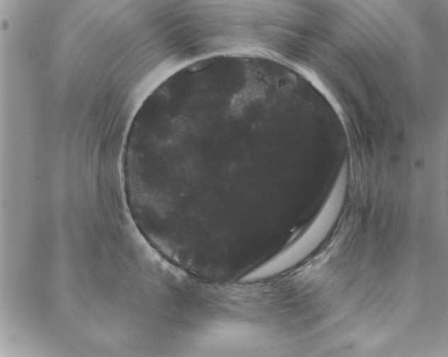 X0000088590959200705251146