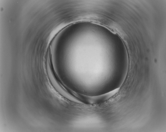 X0000088590960200705251146