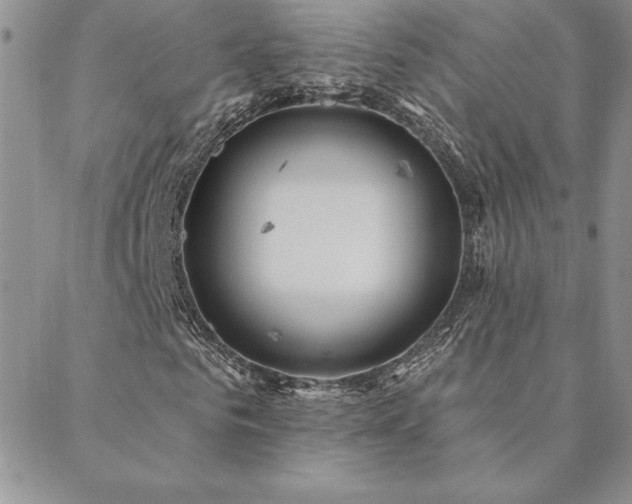 X0000088590961200705251145