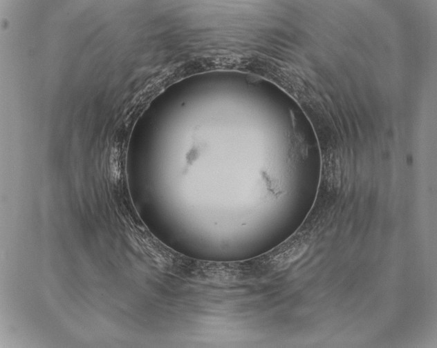 X0000088590962200705251145