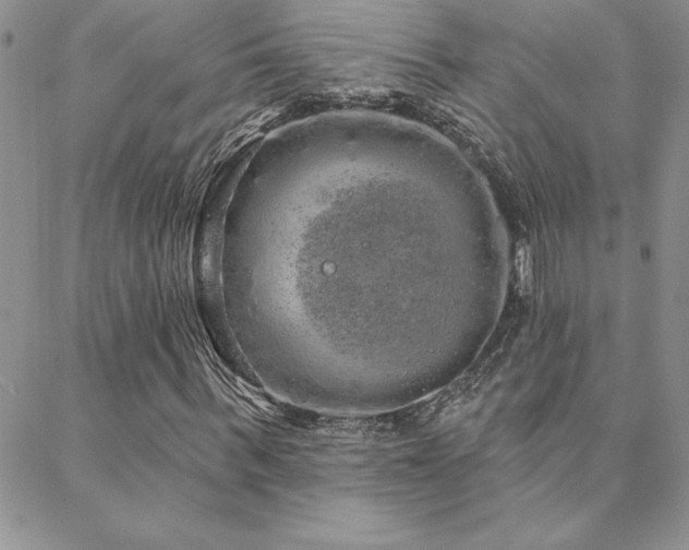 X0000088590963200705251145