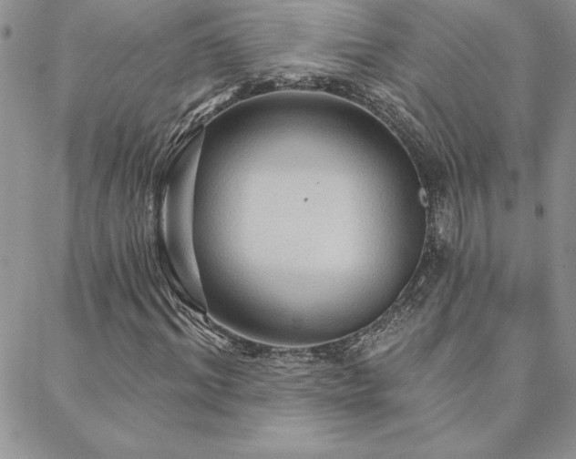 X0000088590964200705251145