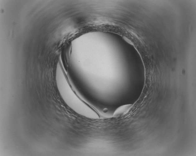 X0000088590965200705251145