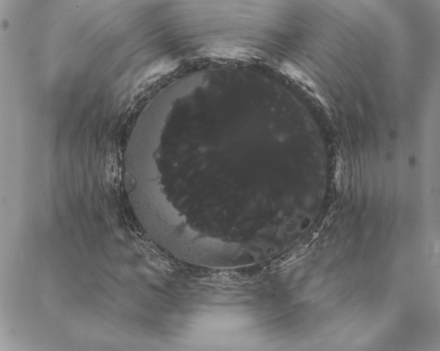 X0000088590966200705251145