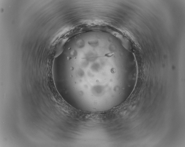 X0000088590967200705251145