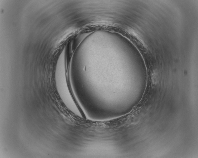 X0000088590968200705251145