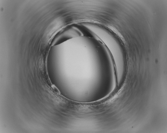 X0000088590969200705251145