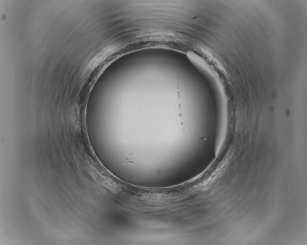 X0000088590970200705251145