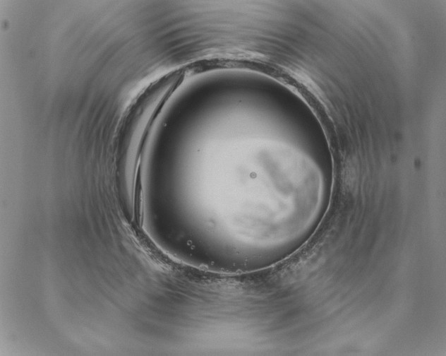 X0000088590971200705251145