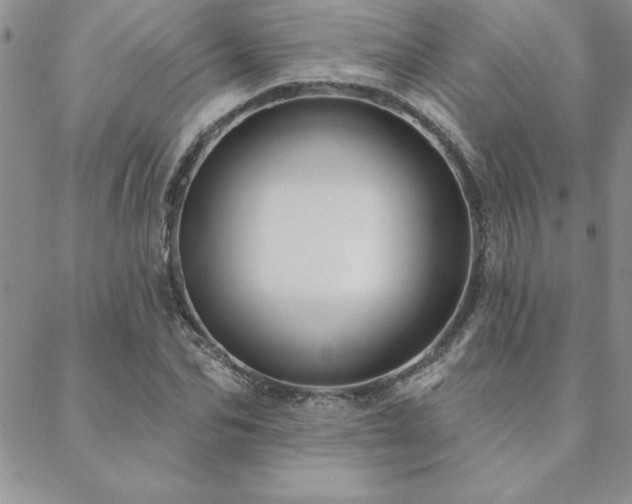 X0000088590974200705251145