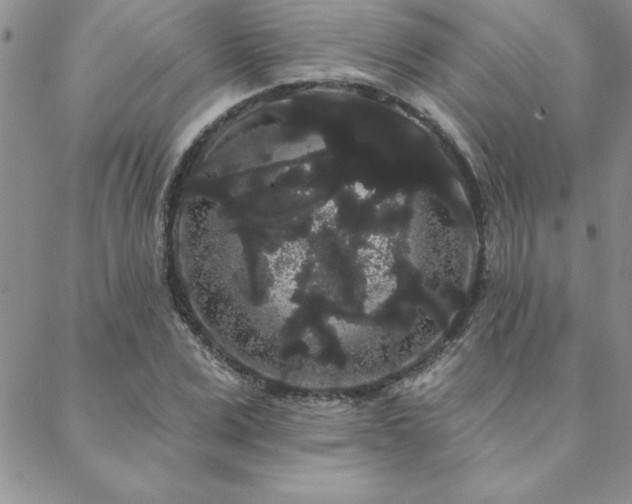 X0000088590975200705251145