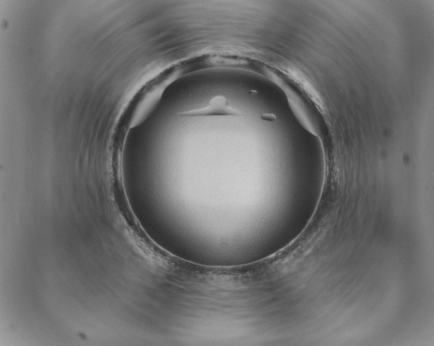 X0000088590976200705251145