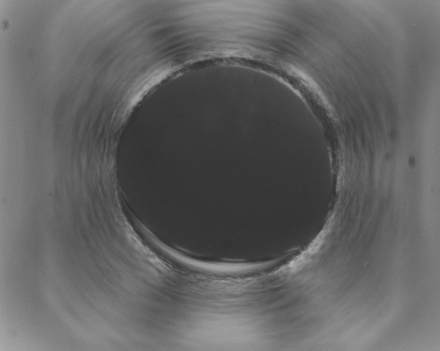 X0000088590977200705251145