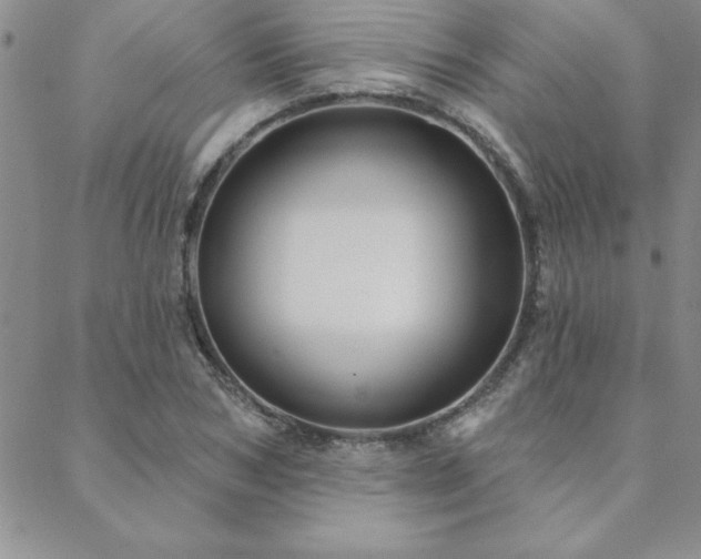 X0000088590978200705251145