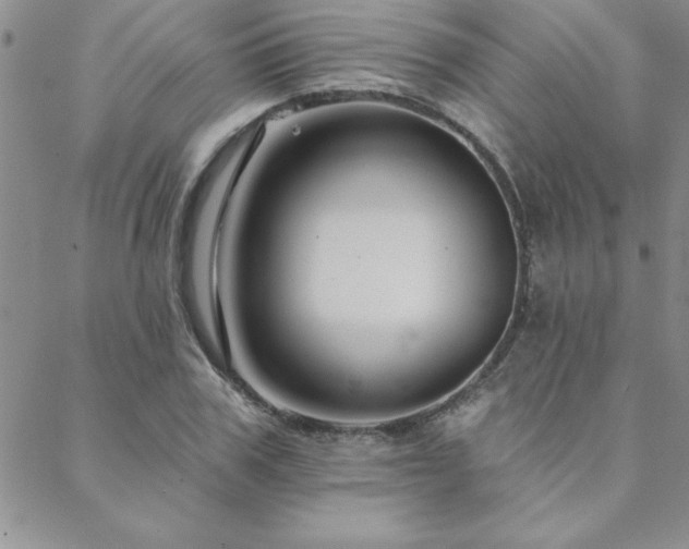 X0000088590979200705251145