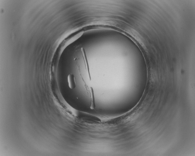 X0000088590980200705251145