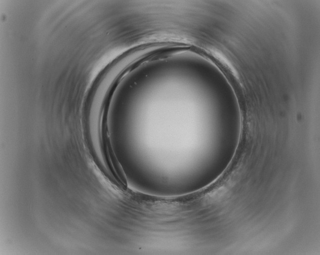 X0000088590981200705251144