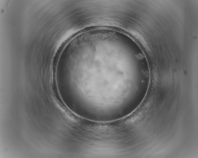 X0000088590982200705251144