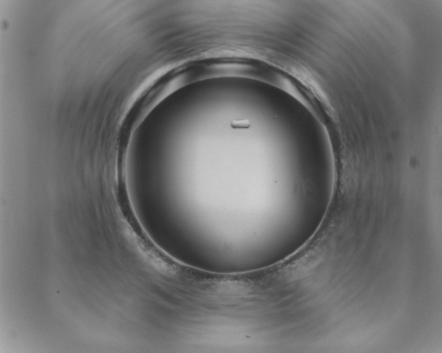 X0000088590984200705251144