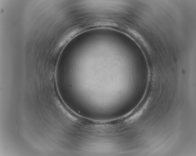 X0000088590985200705251144