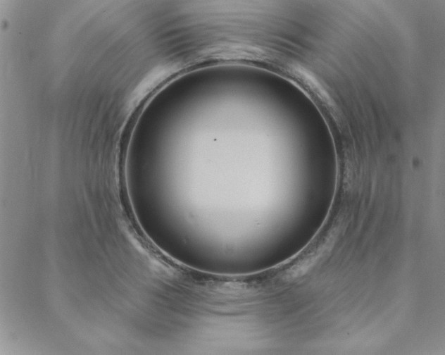 X0000088590986200705251144