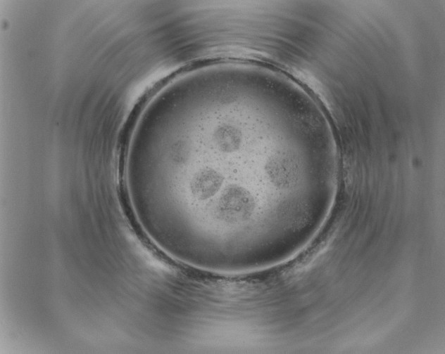 X0000088590987200705251144