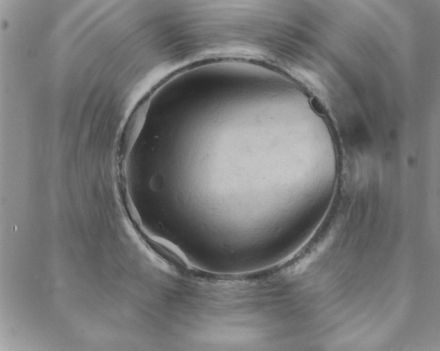 X0000088590989200705251144