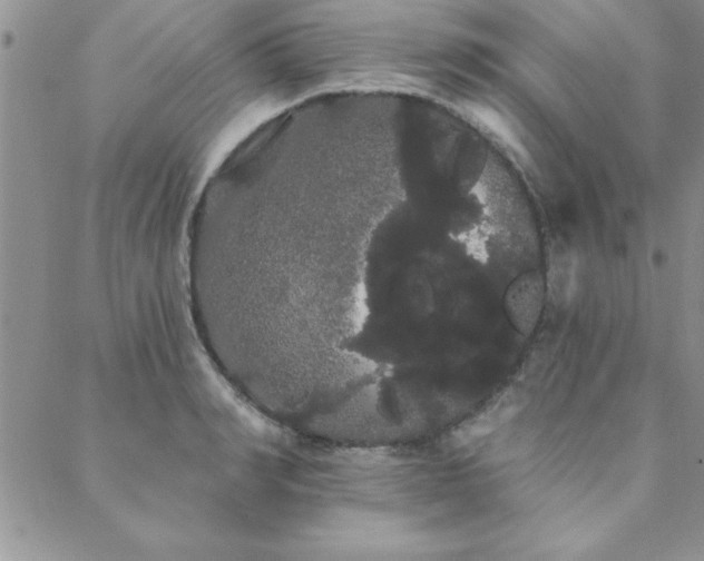 X0000088590990200705251144