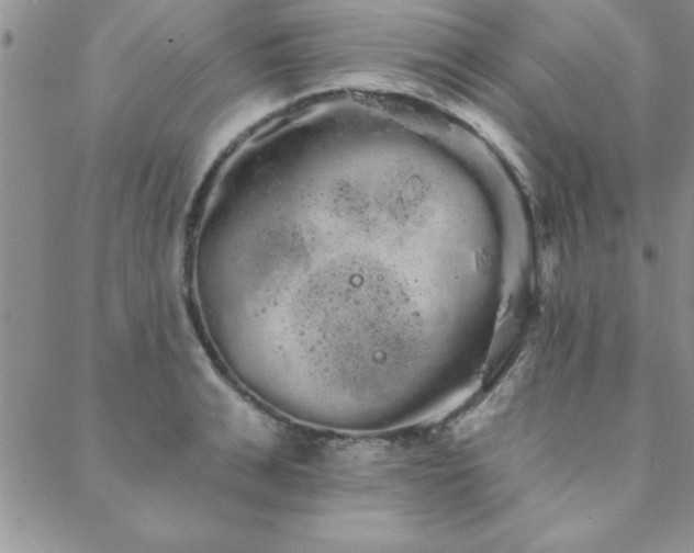 X0000088590991200705251144