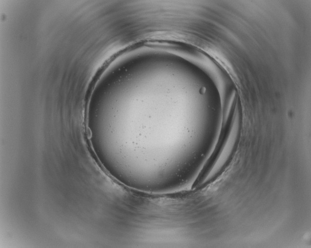 X0000088590992200705251144