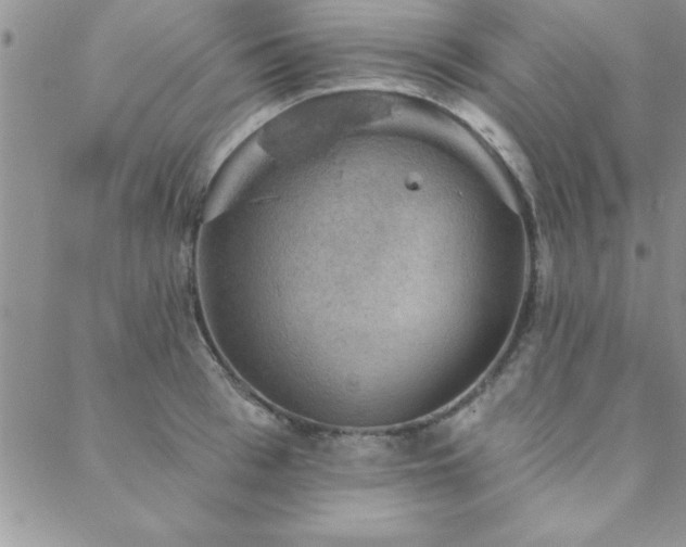 X0000088590993200705251144