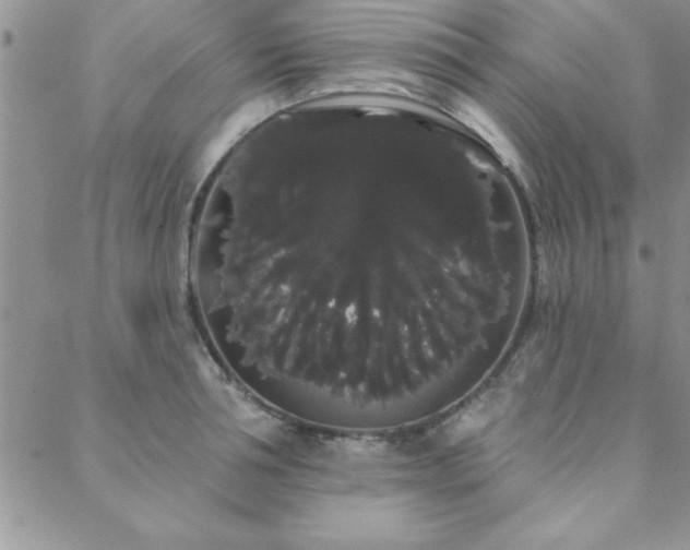 X0000088590994200705251144