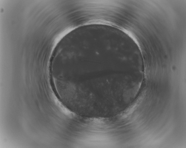 X0000088590995200705251144