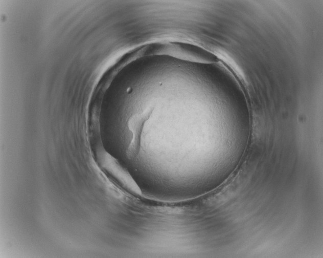 X0000088590996200705251144