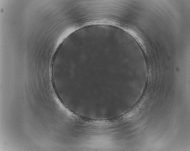 X0000088590998200705251144