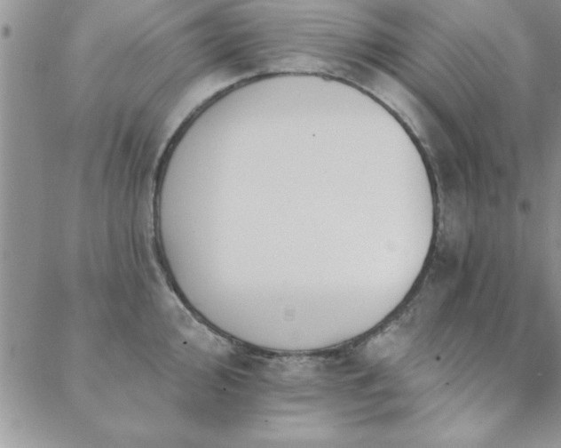 X0000088591000200705251144