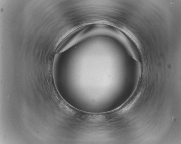 X0000088591001200705251144