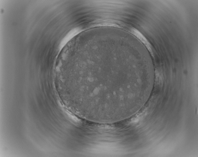 X0000088591002200705251144