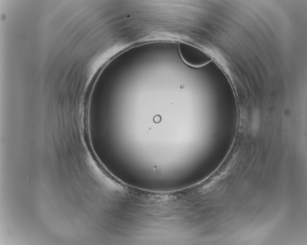 X0000088591003200705251144