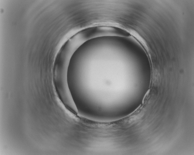 X0000088591005200705251144